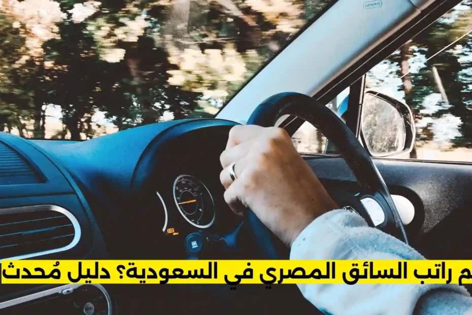 كم راتب السائق المصري في السعودية