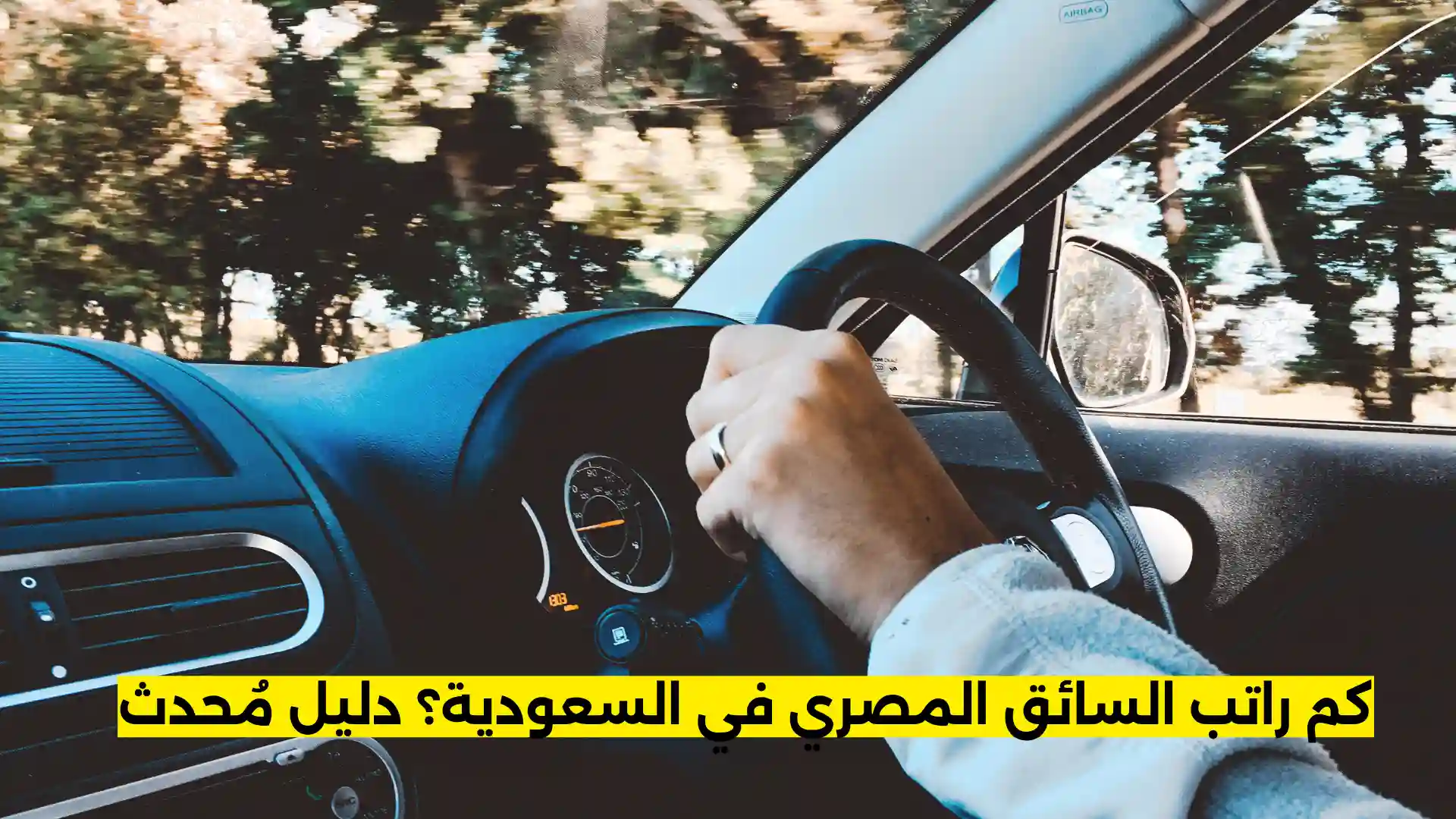 كم راتب السائق المصري في السعودية