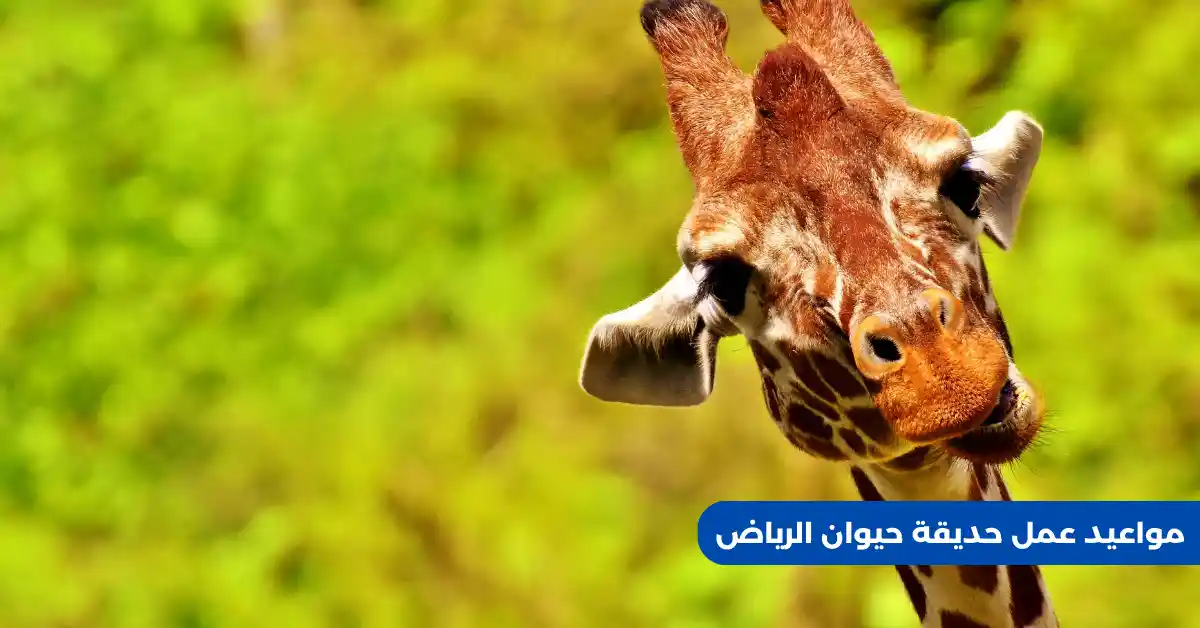 مواعيد عمل حديقة حيوان الرياض