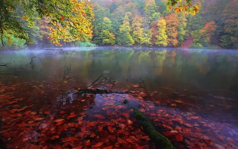 بحيرة نوهور